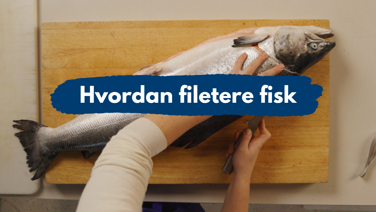 Hvordan filetere fisk - Forsidebilde